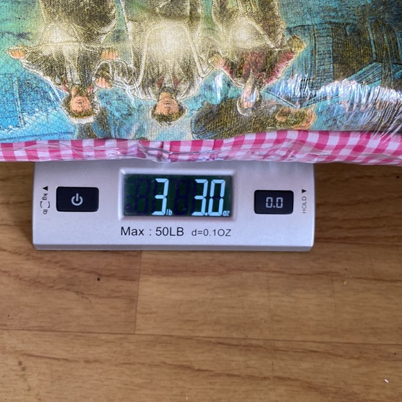 Tween Teen Girl Bundle Women XS Lot of 6 pieces PacSun Target Dickies Tillys - Picture 11 of 12